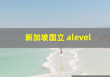 新加坡国立 alevel